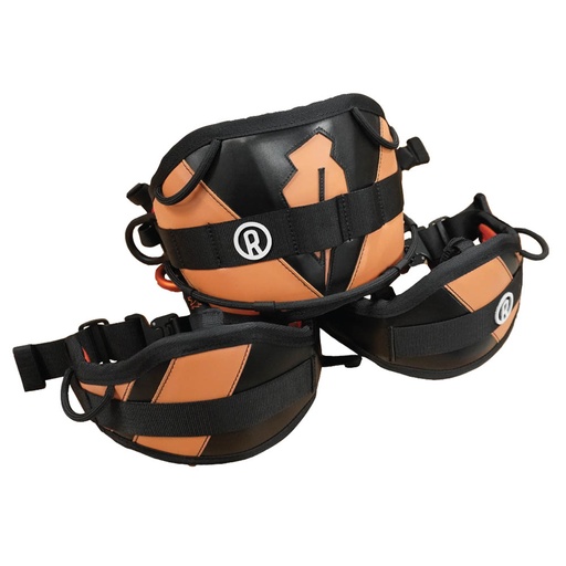 Harnais Fox Cuir Couleur + Ecusson
